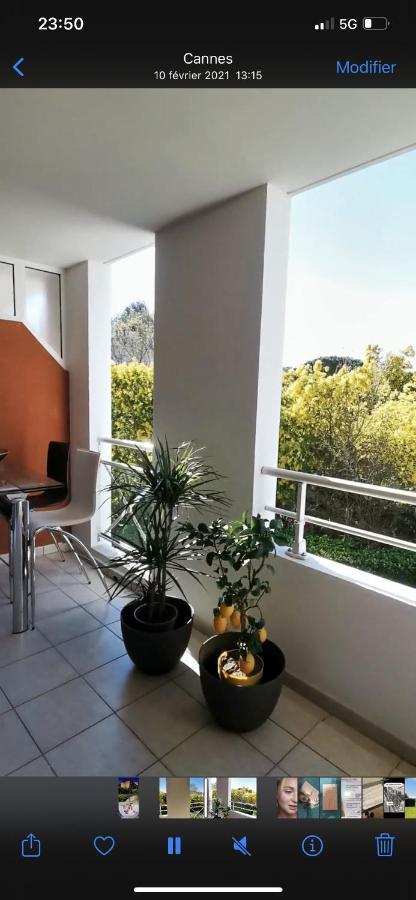 A 2 Pieces, Grande Terrasse, Vue Parc Au Calme Cannes
